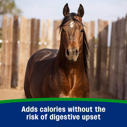 Farnam Weight Builder Weight Support Supplement for Horses, Helps Maintain Optimal Body Condition, 7.5 lb, 30 Day Supply