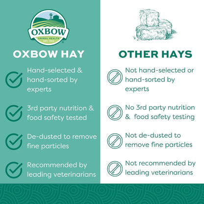 Oxbow Orchard Grass Hay for Small Pets – All-Natural Long Strand Fiber Hay for Rabbits, Guinea Pigs, Chinchillas, and Hamsters – Supports Digestive Health and Enrichment – 40 oz Bag