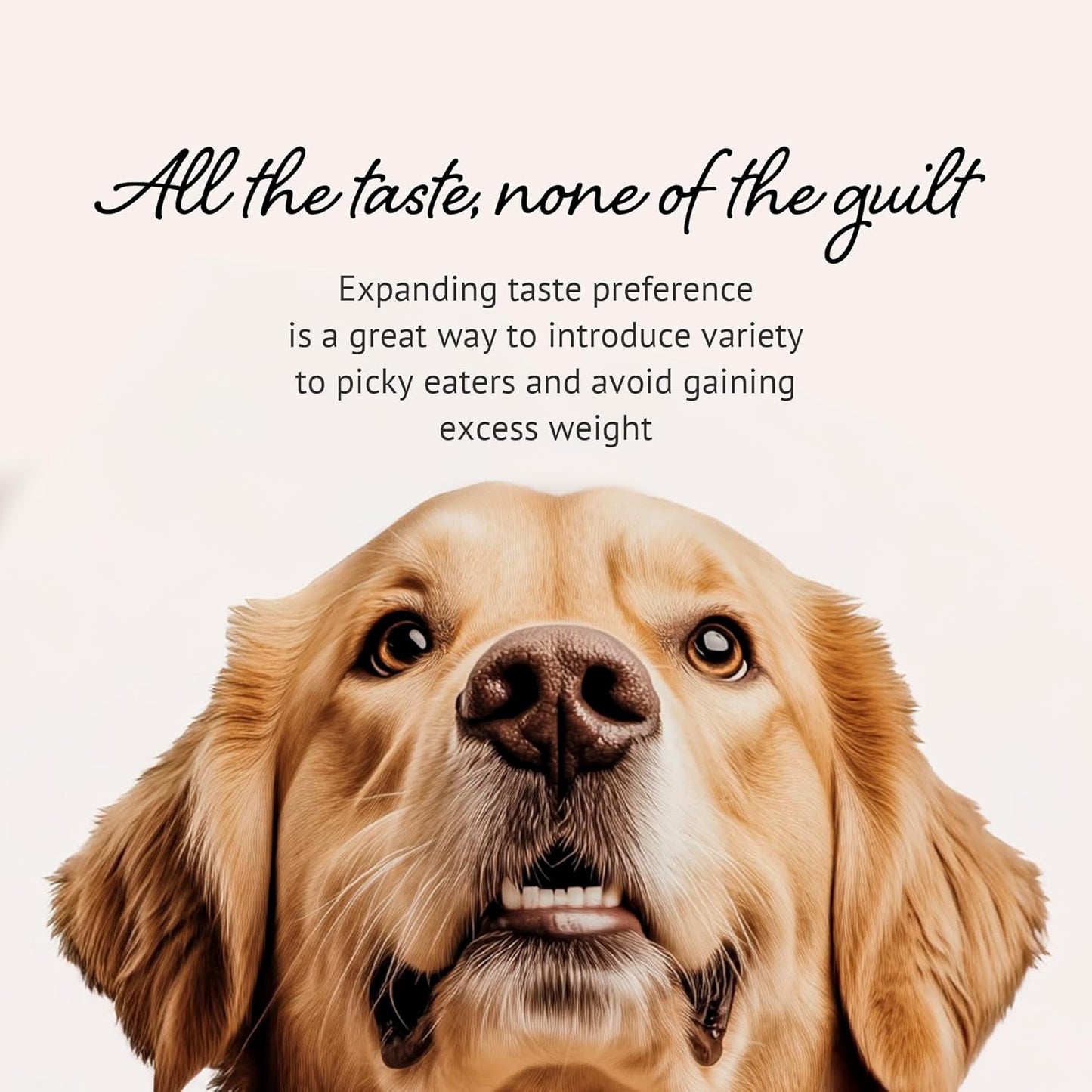 Freeze Dried Raw Dog Food, 100% Horse Meat, Allergy Relief, Monoprotein, Training Treats or Toppings, Single Ingredient, All Natural, for Puppies, Adults and Seniors, 3.17 oz Bag