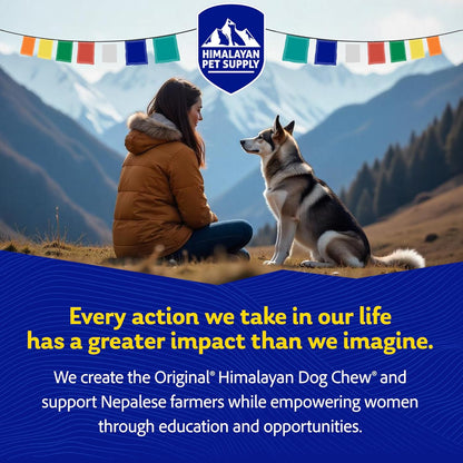 Himalayan Dog Chew Original Yak Cheese Dog Chews, The Better-For-You Chew, 100% Natural, Long Lasting, Healthy Safe Dog Treats, Lactose & Grain Free, Protein Rich, For Dogs 65 Lbs & Smaller, 3-Count