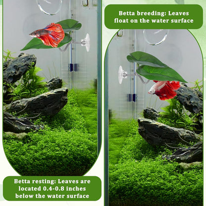 Betta Fish Hammock, 3 Pcs Betta Fish Leaf Pad Aquarium Plants Decor Simulating The Natural Habitat for Fish Tank Accessories Betta Sleeping Resting Playing Hiding Breeding with Plastic Suction Cup