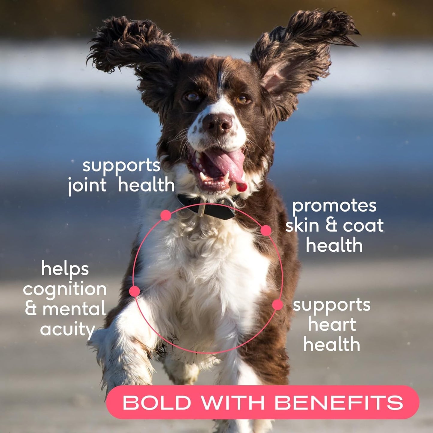 Native Pet The Daily Dog Supplement (90 Scoops) & Salmon Oil for Dogs & Cats (8 Oz.) - 11 in 1 Multivitamin & Pure Omega-3 Fish Oil Supplement for Skin & Coat, Joint, Heart Health & Anti-Inflammatory