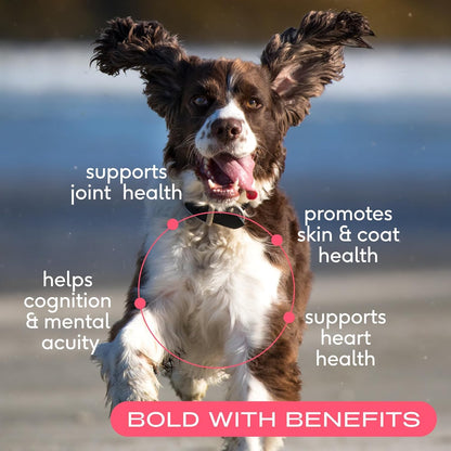 Native Pet The Daily Dog Supplement (90 Scoops) & Salmon Oil for Dogs & Cats (8 Oz.) - 11 in 1 Multivitamin & Pure Omega-3 Fish Oil Supplement for Skin & Coat, Joint, Heart Health & Anti-Inflammatory