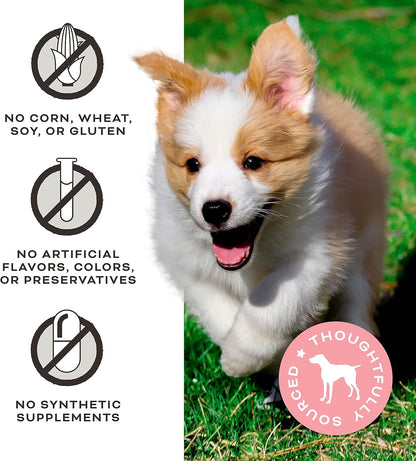 Primal Freeze Dried Dog Treats, You're My Butter Half; Chicken & Peanut Butter with Goat Milk, Grain Free Training Treats for Dogs, 2 oz (Pack of 2)