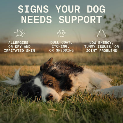 8-in-1 Dog Multivitamin – 100% Natural Supplement Powder with Colostrum for Healthy Skin, Joints & Energy – Crafted by Dog Nutritionist Kayla Kowalski, Made in USA – 30 Scoops