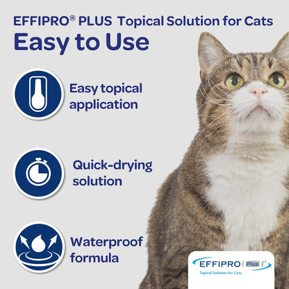 Effipro Plus Topical Solution for Cats, 3 Month Supply, Product Does Not Expire, Non-Perishable