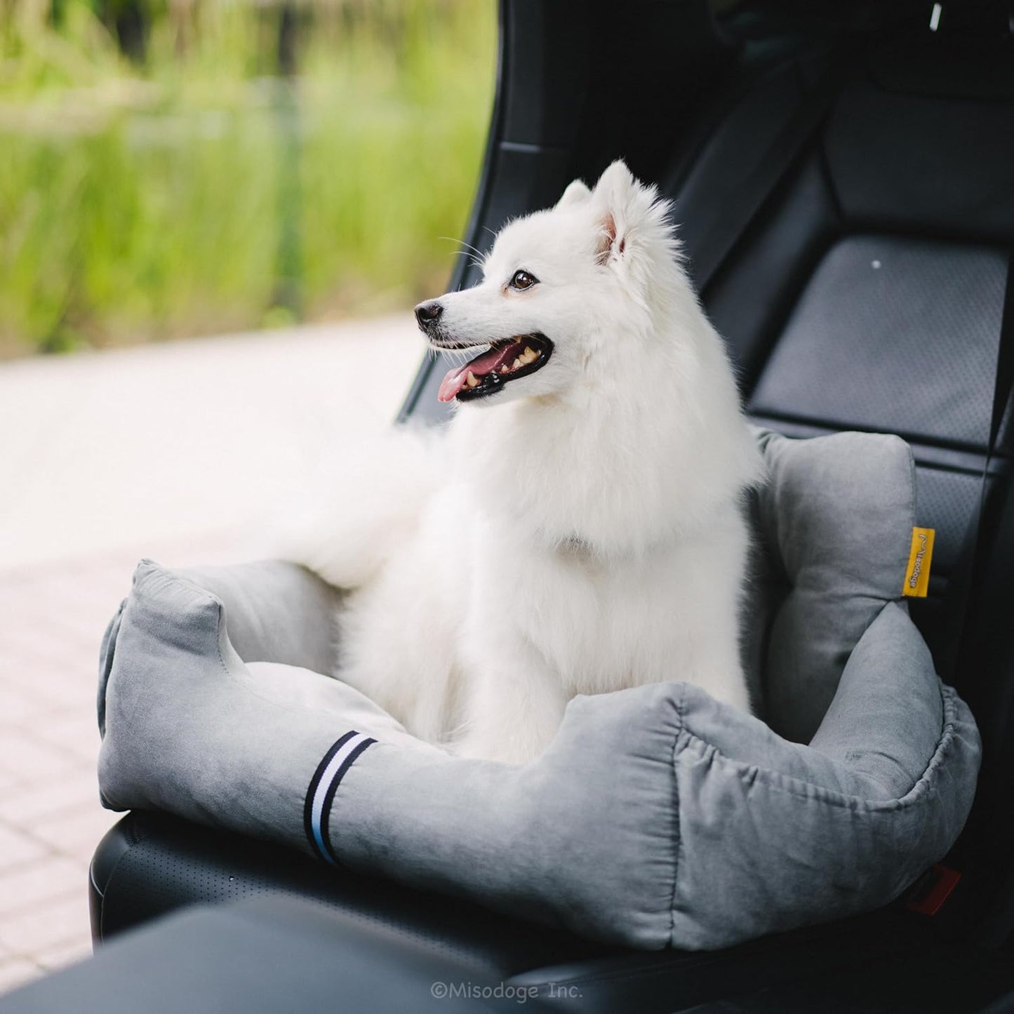 Futon Dog Car Bed for Small Dogs, Safety Seat Belt and Straps, Non-Slippery Bottom, Travel Bed, Elegant Design, Perfect for Dogs Under 25 Lbs