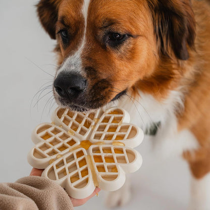 Hide & Seek Slow Feeder - Buttercream - Dog & Pet, Meal & Treat Feeding Accessory, Fits in Most 8" Bowls, Suction Base, Food-Grade Silicone
