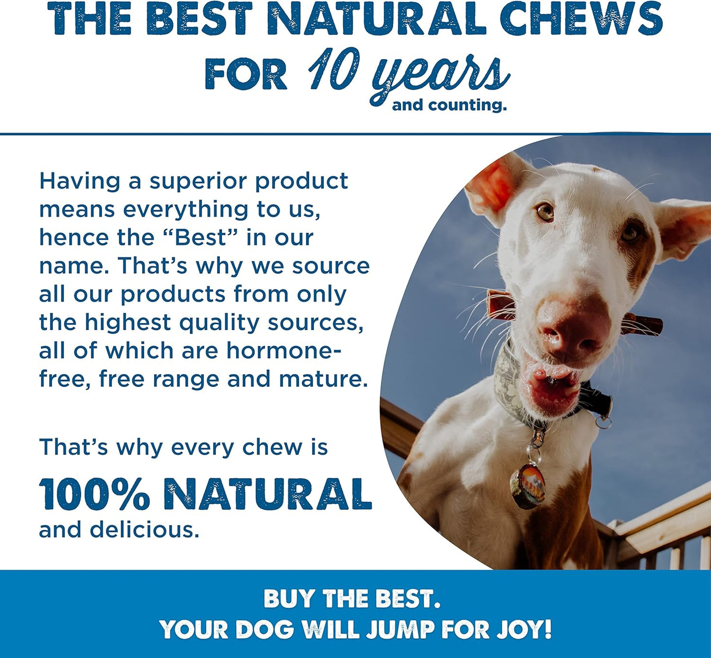 Best Bully Sticks Beef-Wrapped Collagen Sticks - 6 Inch 10 Count (Pack of 1) - Natural, USA Baked and Packed, Easily Digestible, Limited Ingredient, Rawhide Alternative Treat