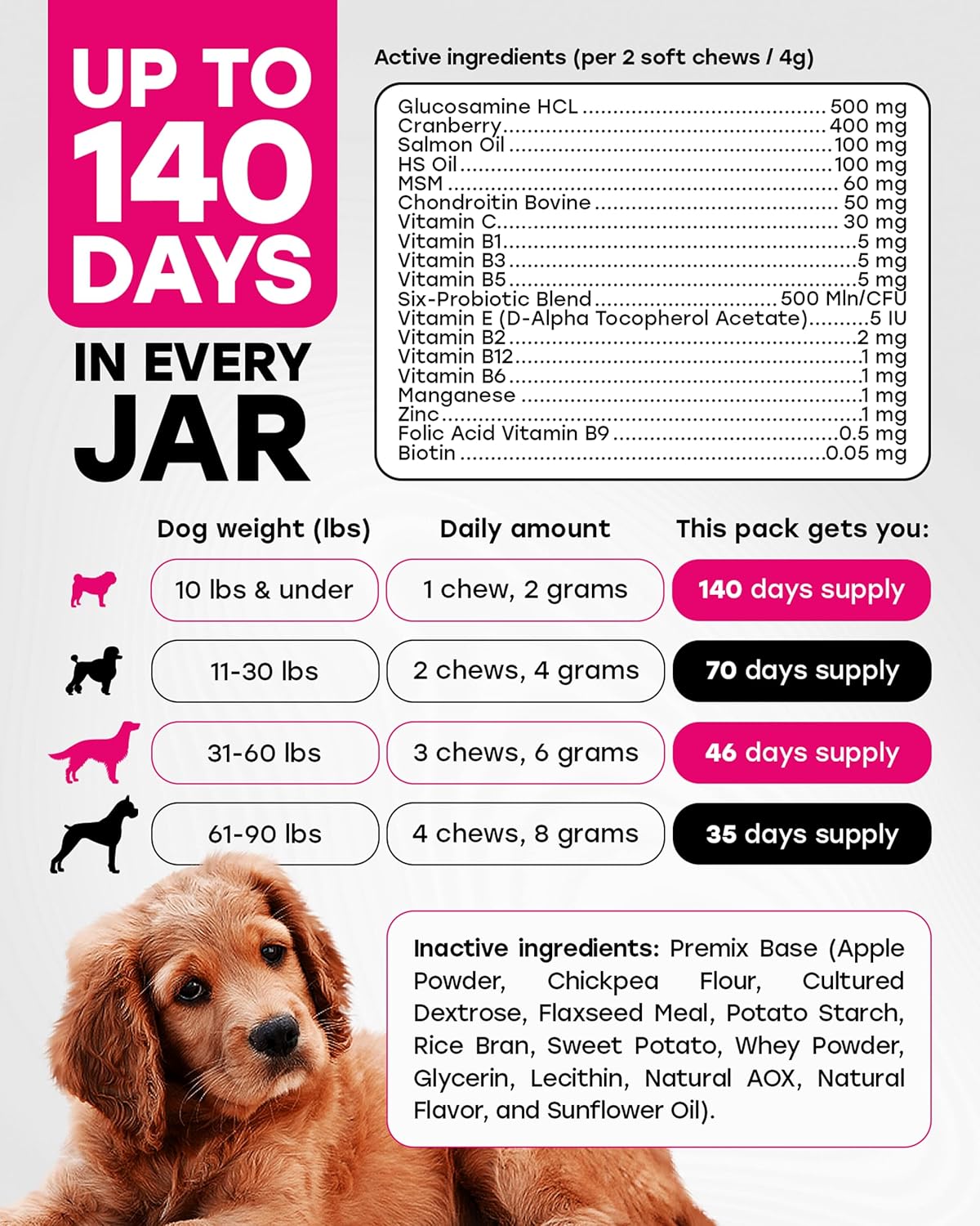 Dog Multivitamin & Probiotic Bundle – Daily Vitamins & Digestive Support Chews – Supports Gut Balance, Digestive Comfort, Skin, Coat, Immune & Joint Health – All Breeds, Puppies, Seniors 140+140 Chews