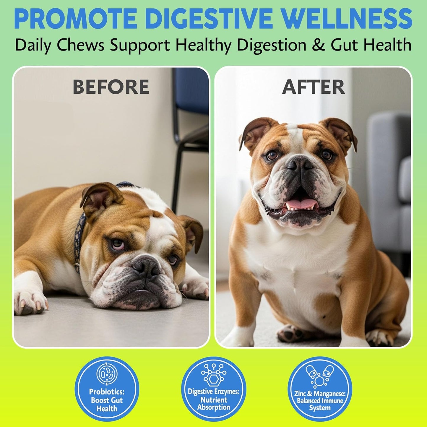 Asher House Wellness Probiotics Digestive Chew for Dogs - Dog Probiotic, Digestive Enzymes for Gut Health & Digestion - Pet Chews for Diarrhea, Upset Stomach, Allergies, Itchy Skin Relief, 120 Chews