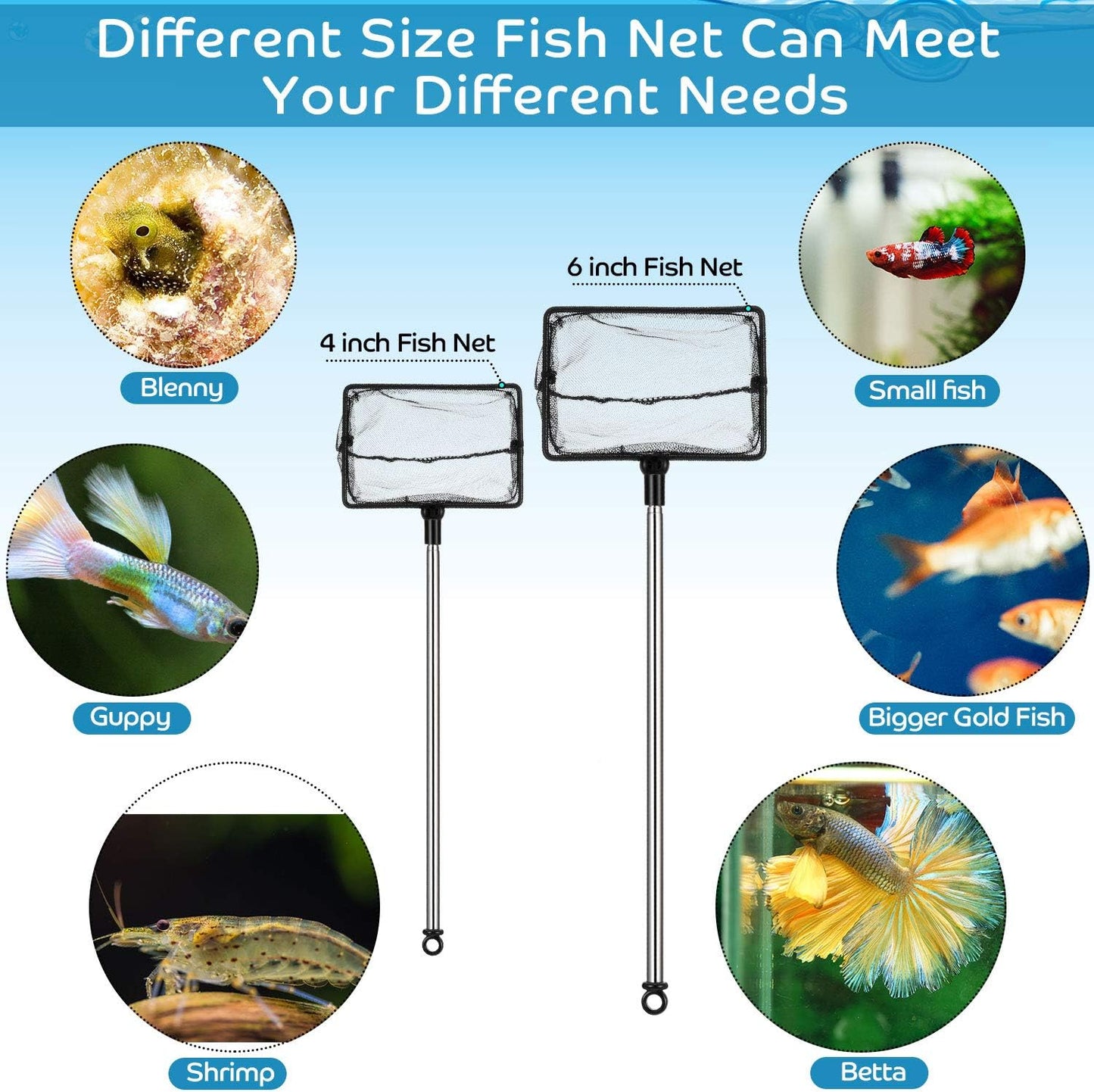 2 Pieces Fish Tank Net Aquarium Mesh Fish Net Long Handle Fish Net with Extendable 12.5-27.5 Inch Stainless Steel Catch Nets for Fish Tank Aquarium Accessories (4 Inch, 6 Inch)