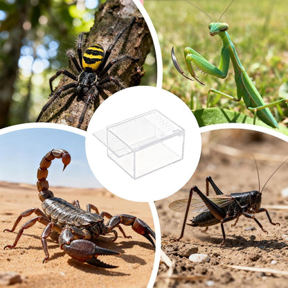 Spider Terrarium, Transparent Waterproof Reptile Feeding Enclosure Box, Gecko Breeding Feeding Hatching Container Tank, Small Reptile Animal Habitat Cage for Snail Frog Gecko Scorpion Centipede