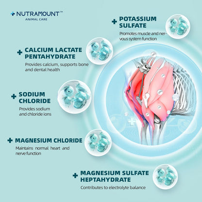 Equine Electrolytes Supplement with Apple Flavor, Replenish Lost Minerals & Support Hydration for Horses During Training, Hot Weather or Travel – 420g