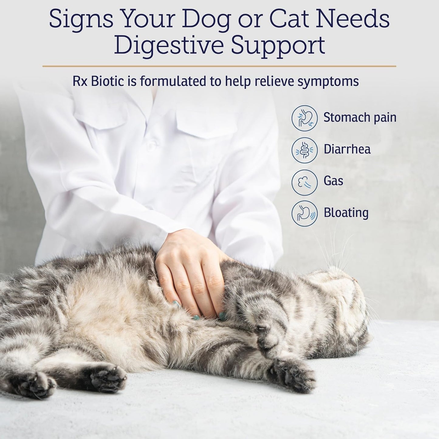 Rx Vitamins Rx Biotic - Probiotic Powder for Dogs and Cats - Cat Digestive Support & Probiotic for Dogs Gut Health - Dog Probiotics for Digestive Health - 1.25oz