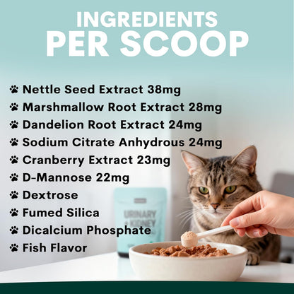 Urinary and Kidney Powder Supplement for Cats - Cranberry, Nettle Seed, D-Mannose for Cat UTI Treatment, Urinary Tract Health, and Kidney Care - Fast UTI Relief & Prevention - 60 Scoops