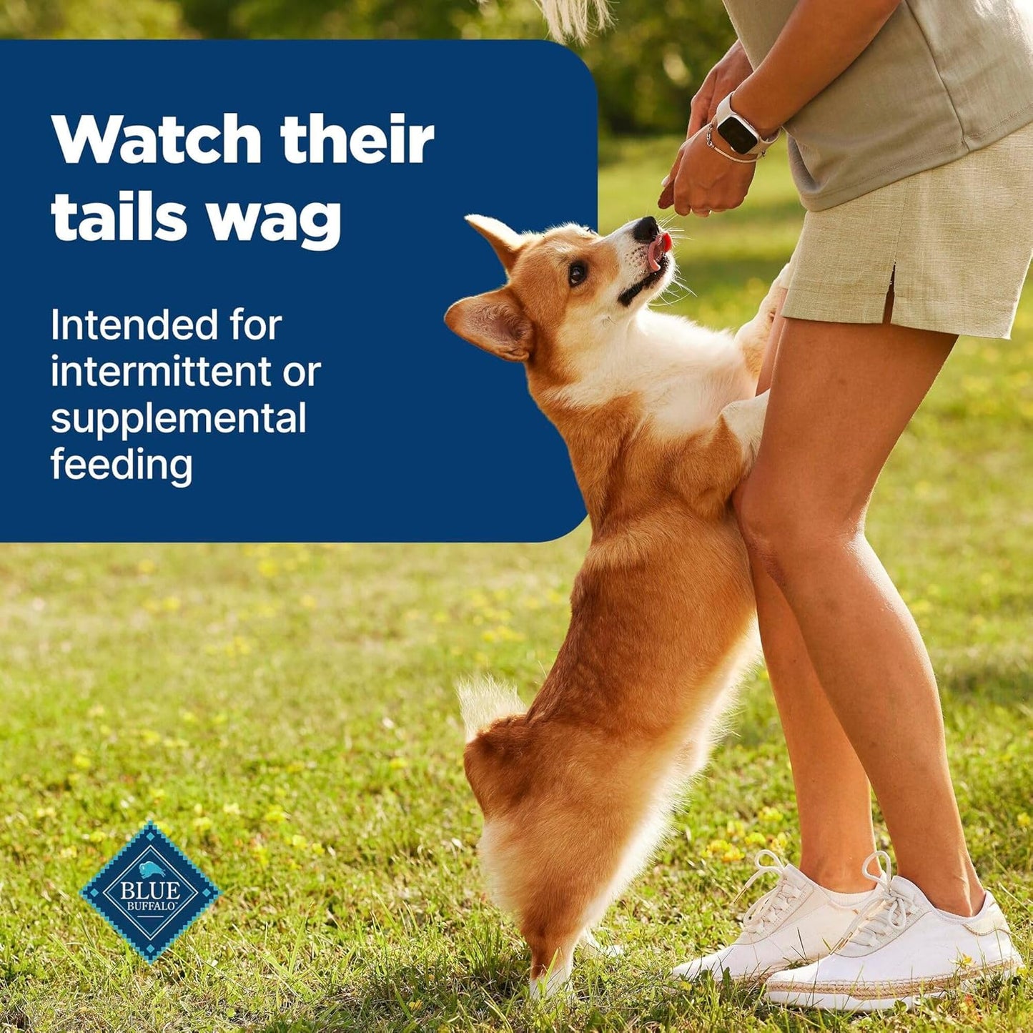 Blue Buffalo Nudges Grillers Natural Dog Treats with Real USA Beef, Made in the USA, Steak, 36-oz Bag