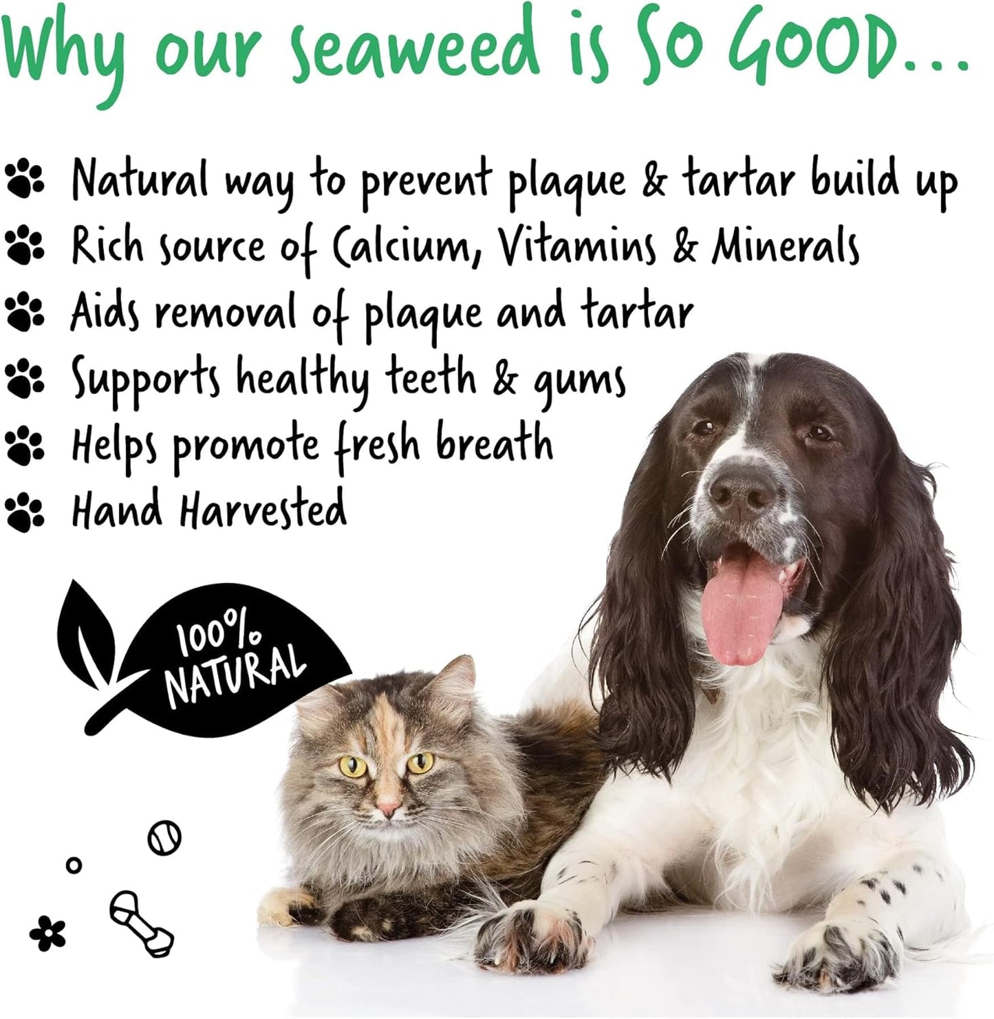 BUGALUGS Plaque Off Remover for Dog Teeth & Bad Breath 100% Natural | Plaque Off No Toothbrush or Dog Toothpaste | Remove Dog Bad Breath & Plaque Remover for Dogs & Cats (Dog 70g)