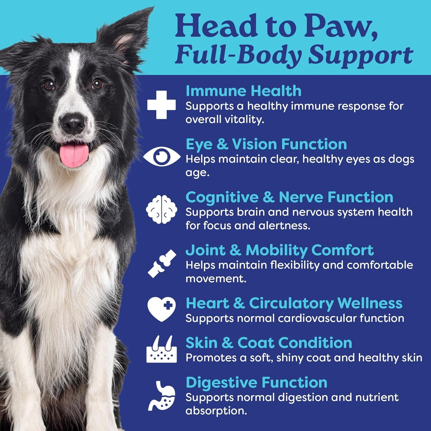 Furrever Young Soft Chews – Senior Dog Healthy Aging Supplement with Antioxidants for Mobility, Immune Health & Cognitive Support – Natural Senilife Alternative (90 Count)