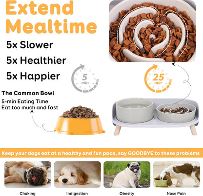 Dog Food and Water Bowl Set - Ceramic Slow Feeder Bowl & Raised Double Dish with Splash-Proof Stand - Feeding Combo for Medium Dogs