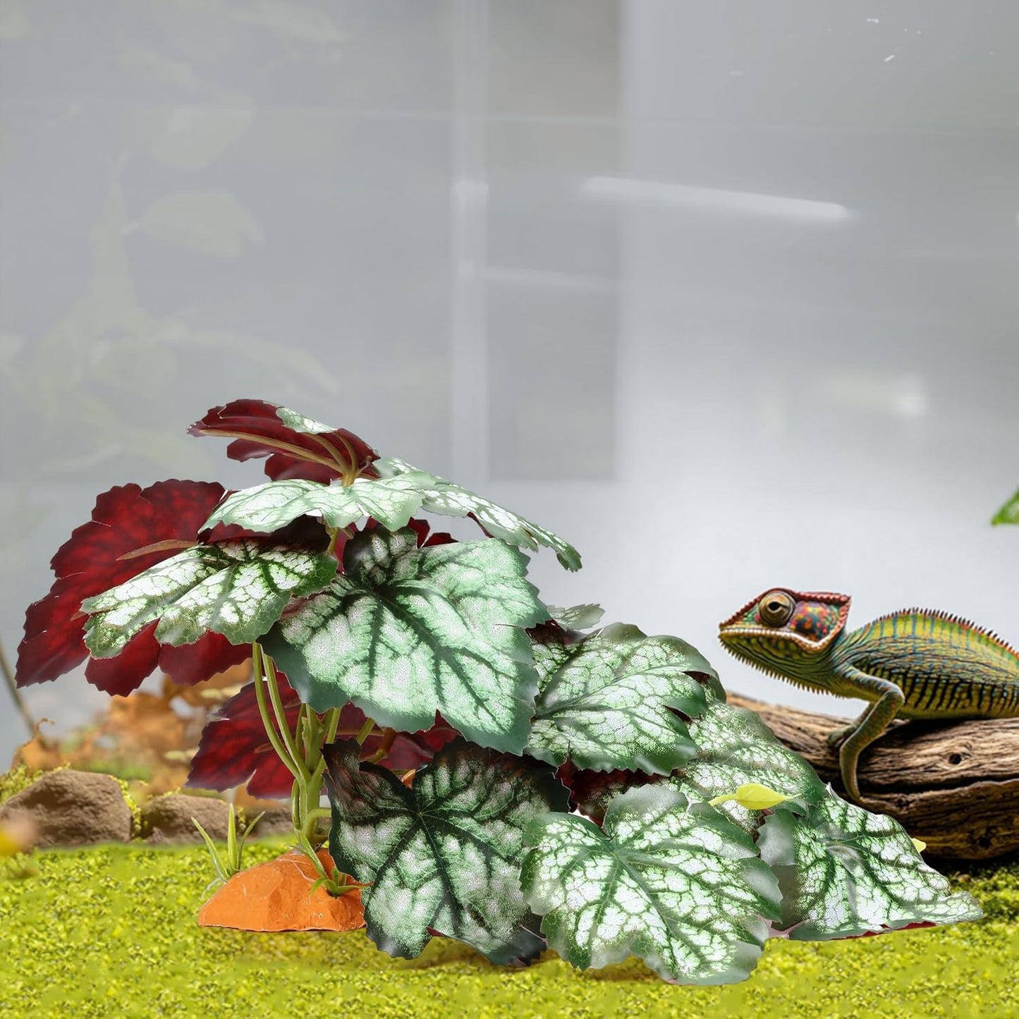 Reptile Plants for Terrarium, Amphibian Habitat Decor Plant, Bearded Dragon Tank Decorations, Artificial Plants for Gecko Lizard Chameleon Tortoise Ball Python Snake with Base - Fake Saxifrage