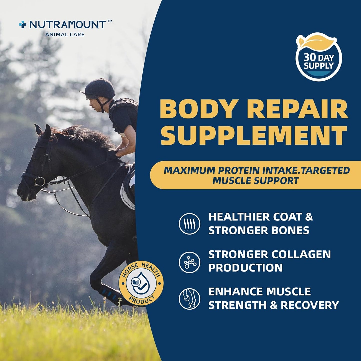 Equine Muscle Builder Supplement – Amino Acids for Muscle Gain, Topline Support & Faster Recovery, Performance Horse Body Repair Powder, 30-Day Supply