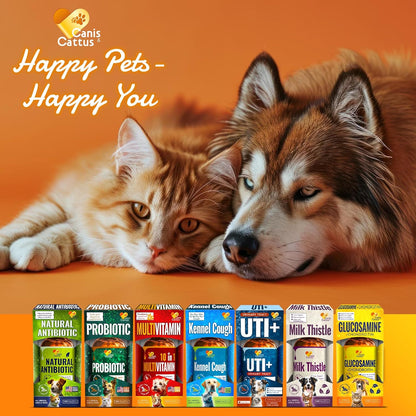 Liquid Cat & Dog Vitamins – Dog Antibiotics for All Pets – Bundle of 10 in 1 Cat & Dog Multivitamin + Antibiotic Supplement – Cough, Allergy, Sneezing, Joint Care – Vitamin C, D, B – Bottle Set x 2 oz