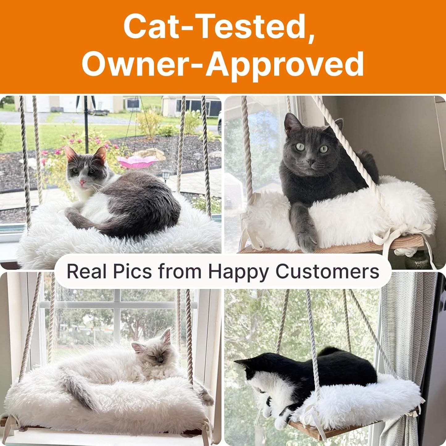 Cat Hammock with Industrial-Grade Suction Cups - Solid Pine Wood Seat, Soft Cushion - 42 lb Capacity