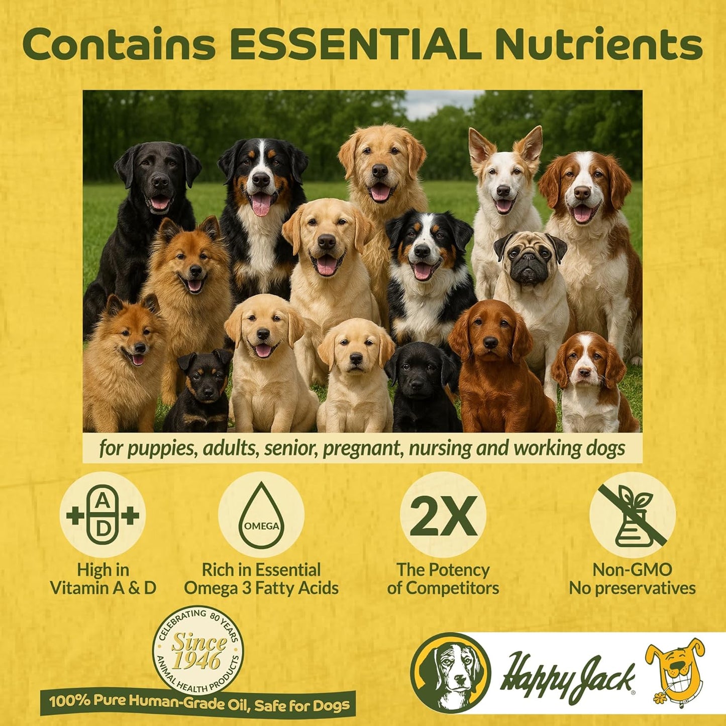 Happy Jack Cod Liver Fish Oil for Dogs Skin and Coat Supplement, Brain, Eyes, Bones, Hip, Joint, Heart & Immune System Health, Energy Booster (16 oz), Omega 3 with EPA & DHA, Vitamin A & D