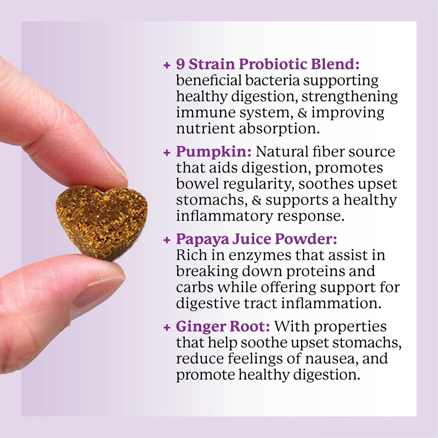 Dr. Harvey's Digestive Probiotic Soft Chews for Dogs, 9 Probiotics for Gut Health, Diarrhea and Bowel Support, Peanut Butter Flavor (90 Chews)