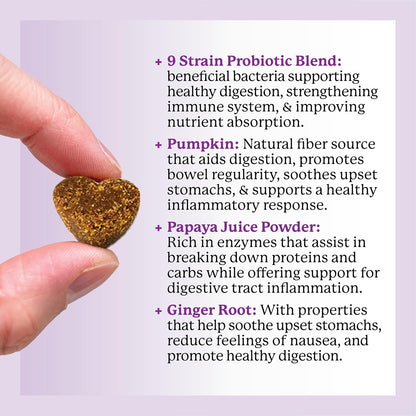 Dr. Harvey's Digestive Probiotic Soft Chews for Dogs, 9 Probiotics for Gut Health, Diarrhea and Bowel Support, Peanut Butter Flavor (90 Chews)