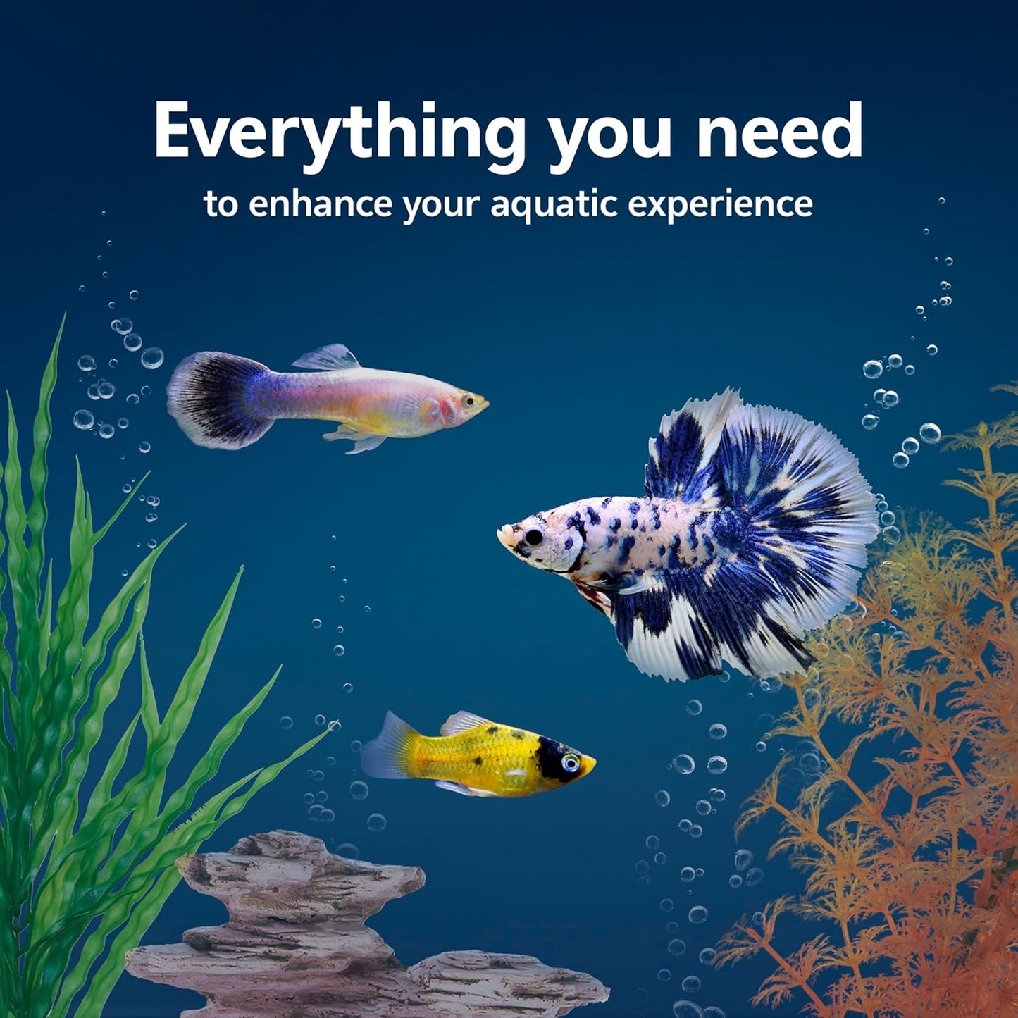Aqueon Aquarium Starter Kit with Smart Clean Filtration and LED Lighting, Freshwater and Saltwater Fish, Perfect for Gouramis, Barbs, Bettas, 20-Gallon