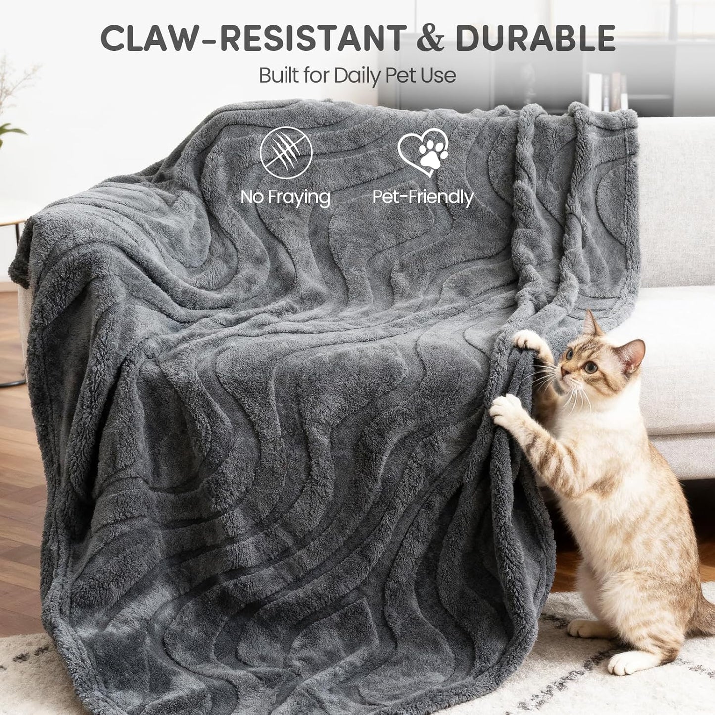 3 in 1 Carpet Rake for Pet Hair Removal & Waterproof Dog Blanket