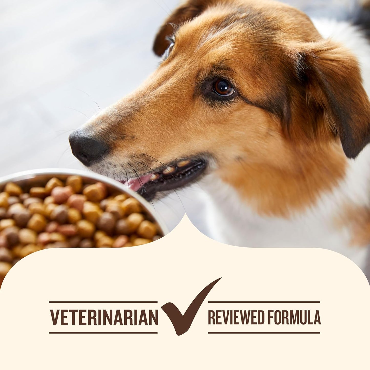 Nutrish Little Bites Small Breed Premium Natural Dry Dog Food, Real Chicken & Veggies Recipe, 6 Pounds (Packaging May Vary), (Rachael Ray Nutrish)