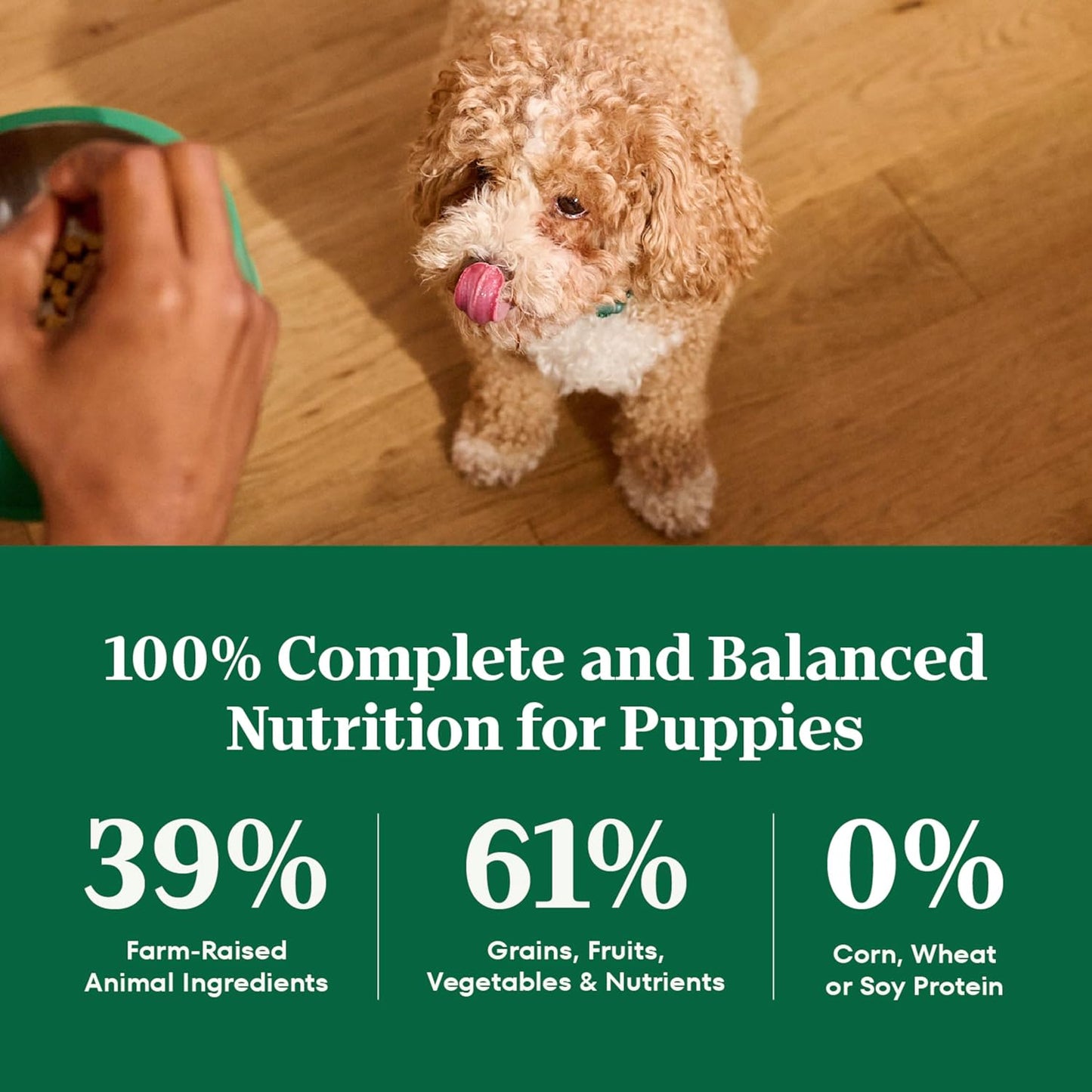 Nutro Natural Choice Puppy Food Dry, Lamb & Brown Rice Recipe, 4.5 lb. Bag