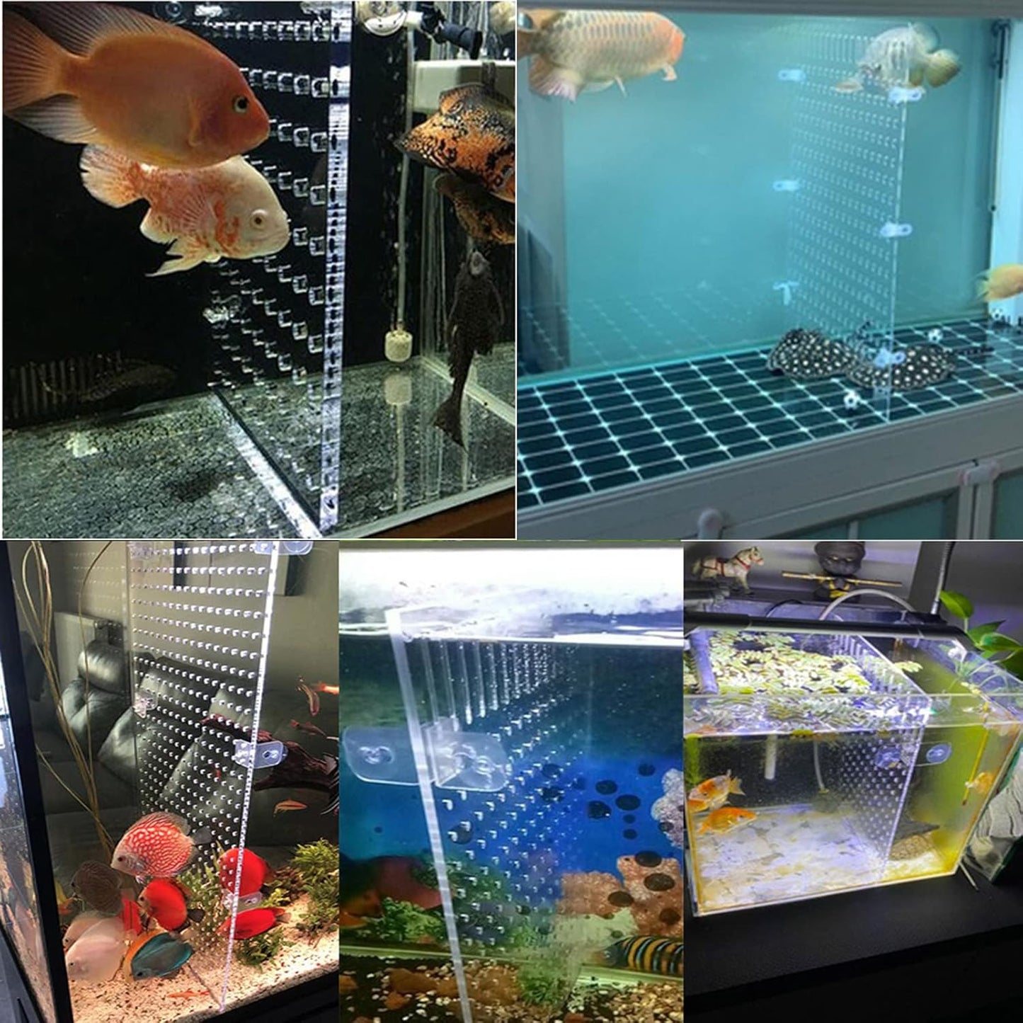 Aquarium Fish Tank Divider Acrylic Isolation Grid Board with Suction Cups Included Clear Fish Separator Transparent Plate Baffle Cover Blocking Fish Partition Net 30x40cm/11.81x15.74in