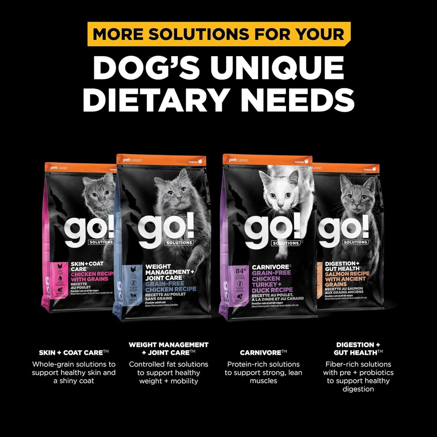 Go! Solutions Sensitivities Limited Ingredients, Grain-Free Dry Cat Food, Insect Recipe for Sensitive Stomach, 3 lb Bag