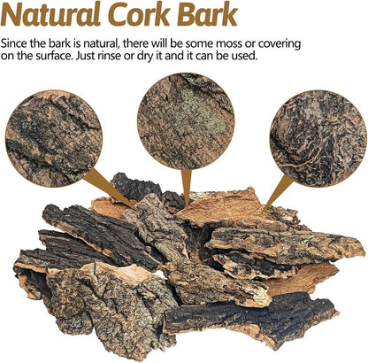 BNOSDM Reptile Cork Bark Substrate 32oz Lizard Bedding for Habitat Natural Flat Cork Wood Bulk Terrarium Reusable Bark Pieces for Chameleon, Ball Python, Crested Gecko, Spider, Tortoise, Tree Frog
