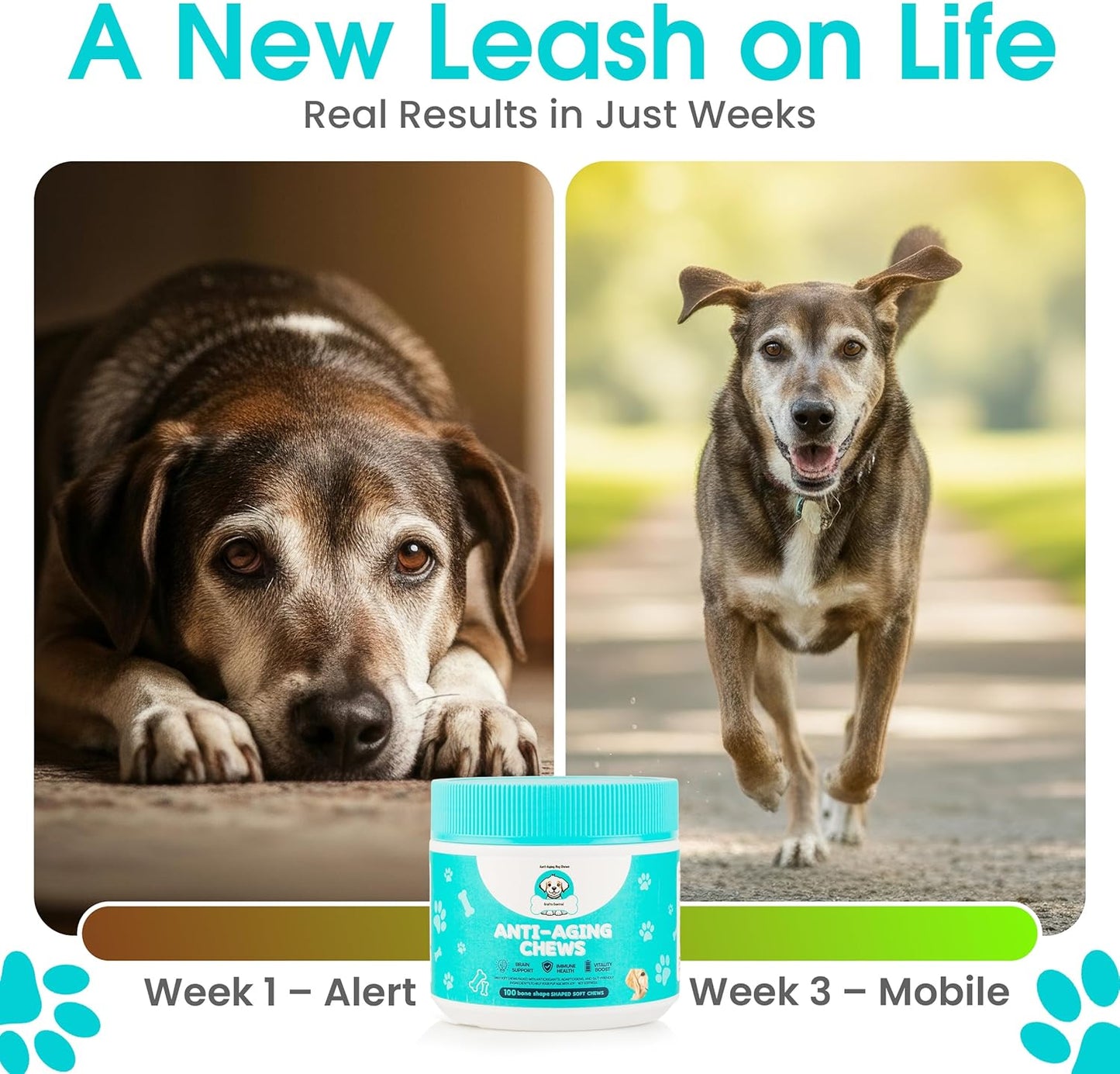 Anti-Aging Dog Supplement – Soft Chews for Senior Dogs with NAD+ Support from Nicotinamide Riboside, Omega-3, Amino Acids, Probiotics – Brain, Joint & Immune Health – Bacon Flavor – 100 Count