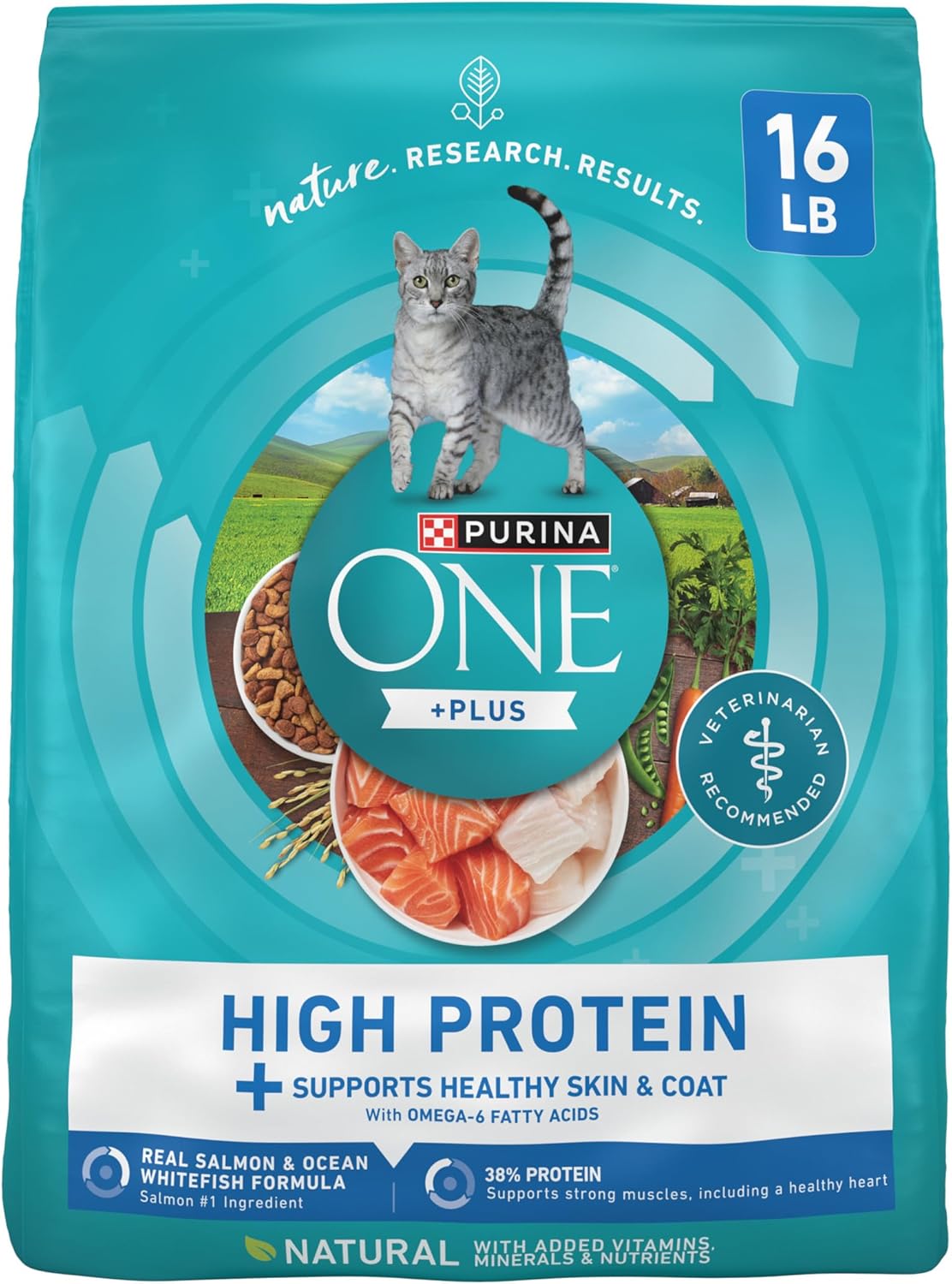 Purina ONE Plus High Protein Cat Food Dry Salmon and Ocean Whitefish Cat Skin and Coat Health Formula - 16 lb. Bag