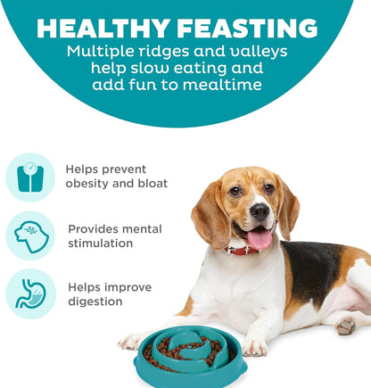 Outward Hound Medium Slow Feeder Bowl, Puzzle Maze for Fast Eaters, Small to Medium Dogs, Helps Prevent Bloat & Aid Digestion, Holds 2 Cups Wet or Dry Food, Non-Slip, Made Without BPA, Turquoise