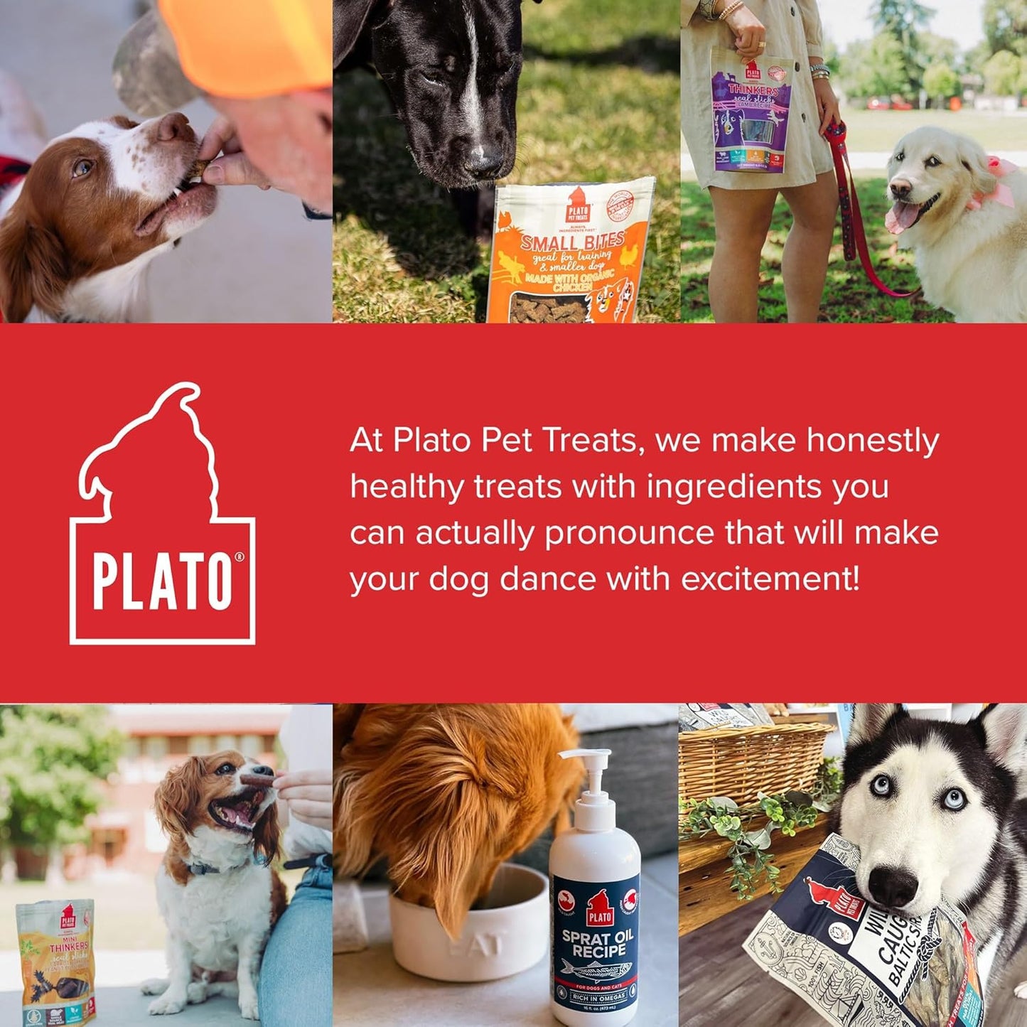 Plato Pet Treats Air Dried Dog Treats Salmon Thinkers Sticks, Natural Dog Treats, Real Meat, Air Dried, Made in the USA, 10oz