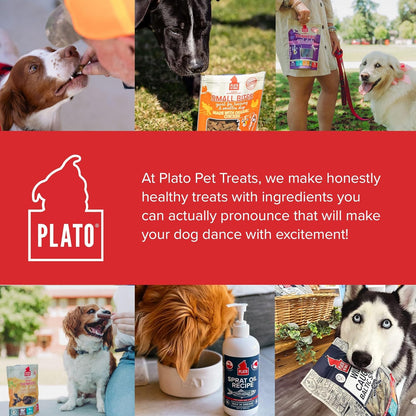 Plato Pet Treats Air Dried Dog Treats Salmon Thinkers Sticks, Natural Dog Treats, Real Meat, Air Dried, Made in the USA, 10oz