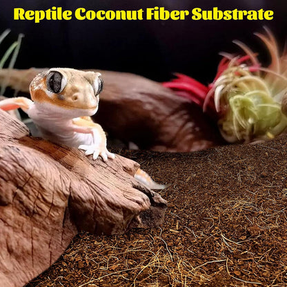 Hamiledyi Reptile Coconut Fiber Substrate Lizards Breathable Coconut Soil Tortoise Habitat Substrate Terrarium Bedding for Snake, Bearded Dragon, Gecko, Horned Frog, Hermit Crab, Tarantulas (2Pack)