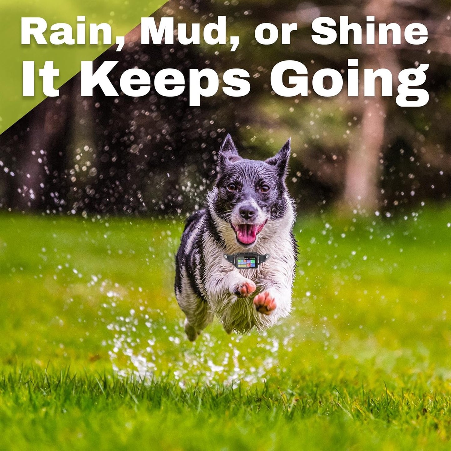 Customizable GPS Dog Collar Fence System, Waterproof LCD Collar & Safe Zone Radius up to 6998 ft – Wireless Dog Fence, Wireless Pet Collar & App-Controlled Dog Training Collar