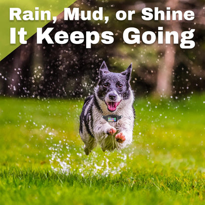 Customizable GPS Dog Collar Fence System, Waterproof LCD Collar & Safe Zone Radius up to 6998 ft – Wireless Dog Fence, Wireless Pet Collar & App-Controlled Dog Training Collar