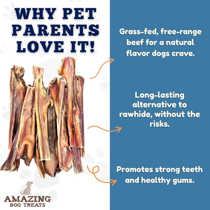 Amazing Dog Treats Gullet Sticks for Dogs- (6 Inch - 20 Count) - Jerky Chews for Dogs - Esophagus Beef Gullet