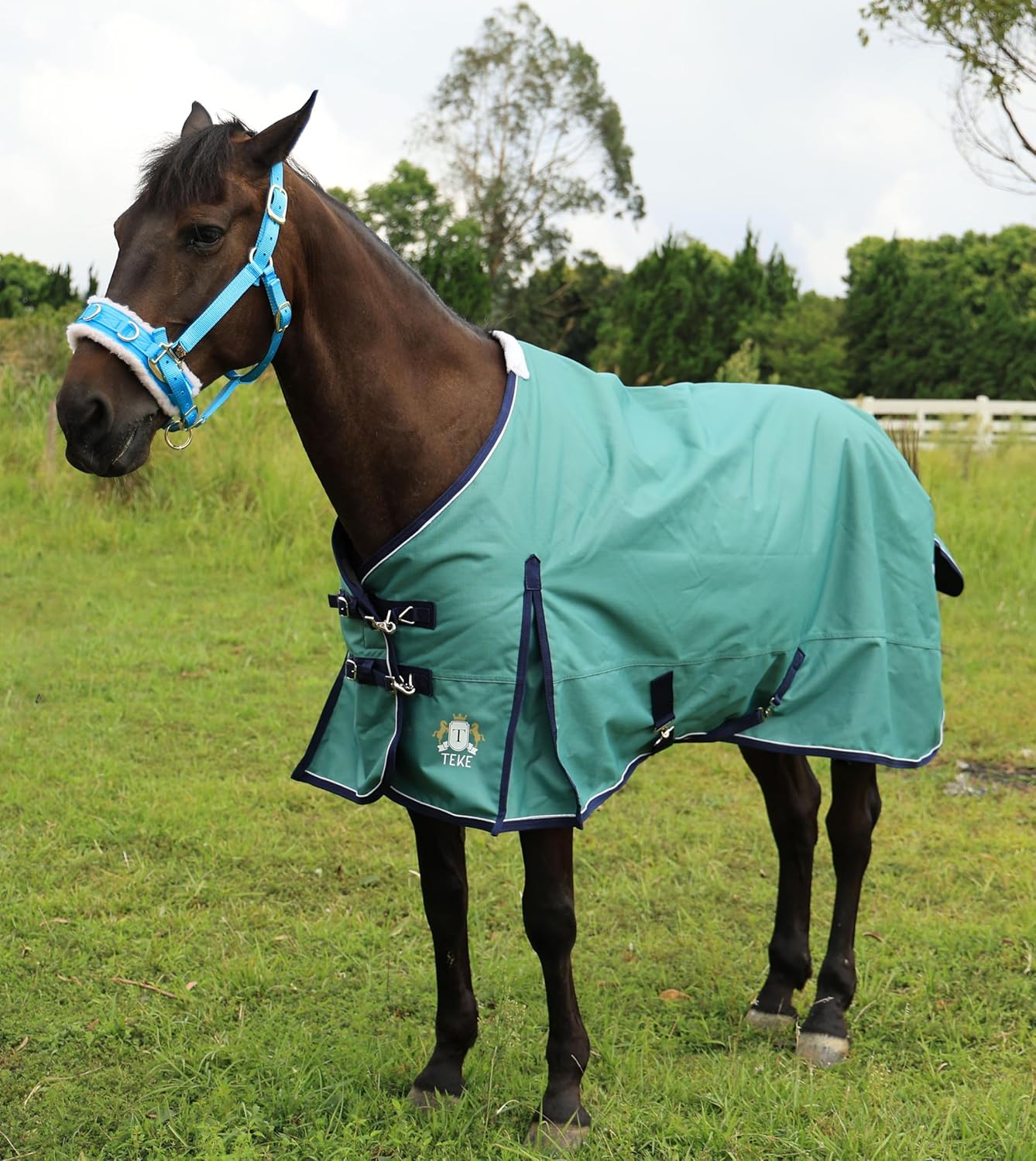 T TEKE Deluxe Turnout Horse Sheets, 1200D Waterproof and Breathable Horse Care Sheets with no Filling (51"-87" Including Miniature/foal Size)