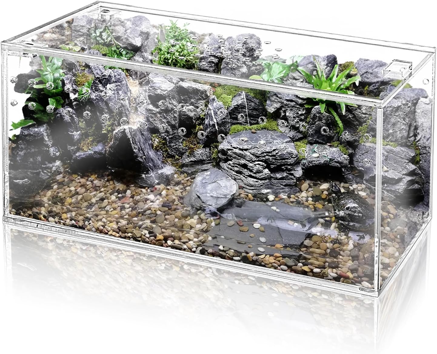 Acrylic Tarantula Enclosure Terrarium, 8" x 4" x 4" Small Magnetic Reptile Tank, Micro Spider Breeding Habitat Cage, Clear Ventilated Lizard Display Box for Hermit Crab Invertebrates Scorpion