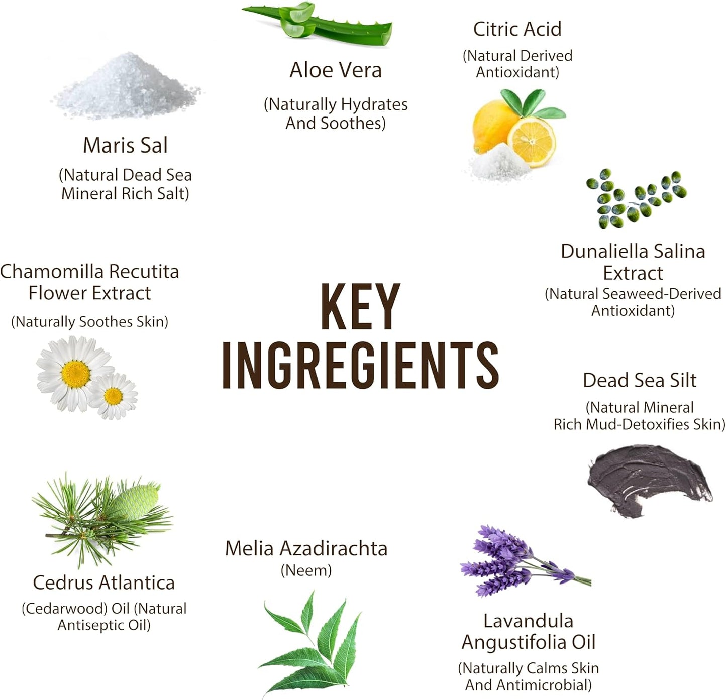 Itchy Dog Flea and Tick Shampoo 300ml – Plant-Based Gentle Dog Shampoo – Flea & Tick Care for Dogs – Cleanses & Freshens Coat – for Sensitive Skin – by C&G Pets